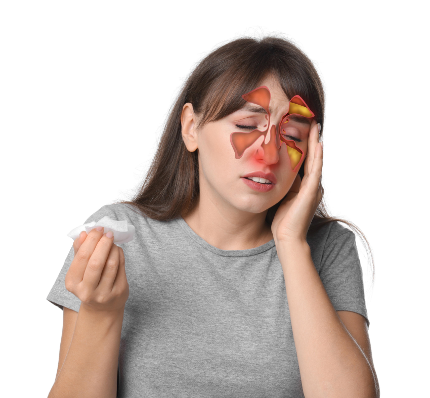 鼻窦炎.png